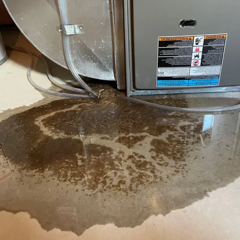 Pipe Burst and Leak Restoration in Shelburne Falls, MA