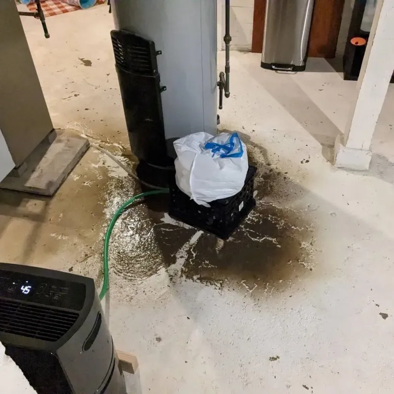 Sewage Backup Cleanup Service in Shelburne Falls, MA